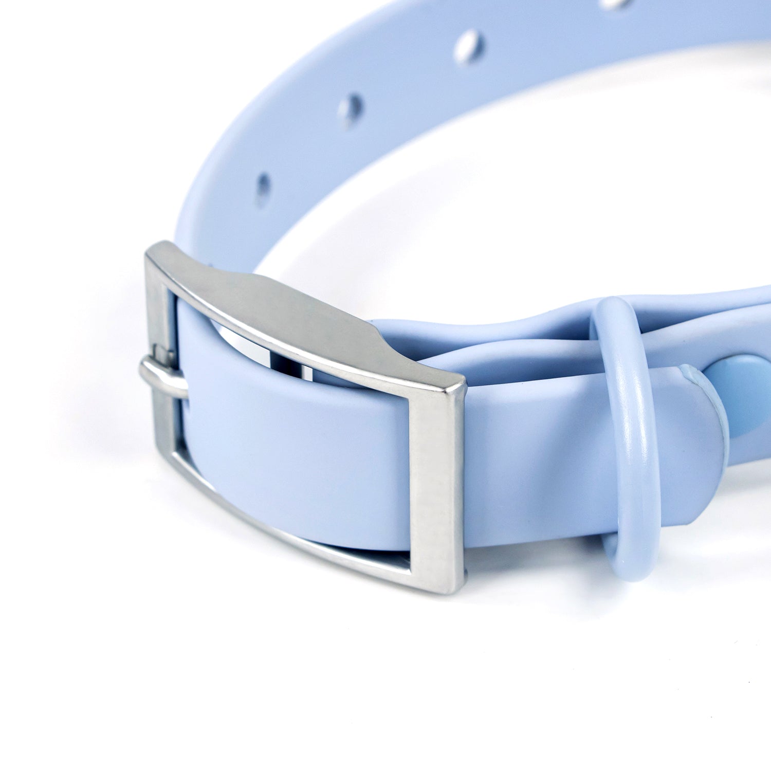 Colour Trace Dog Collar