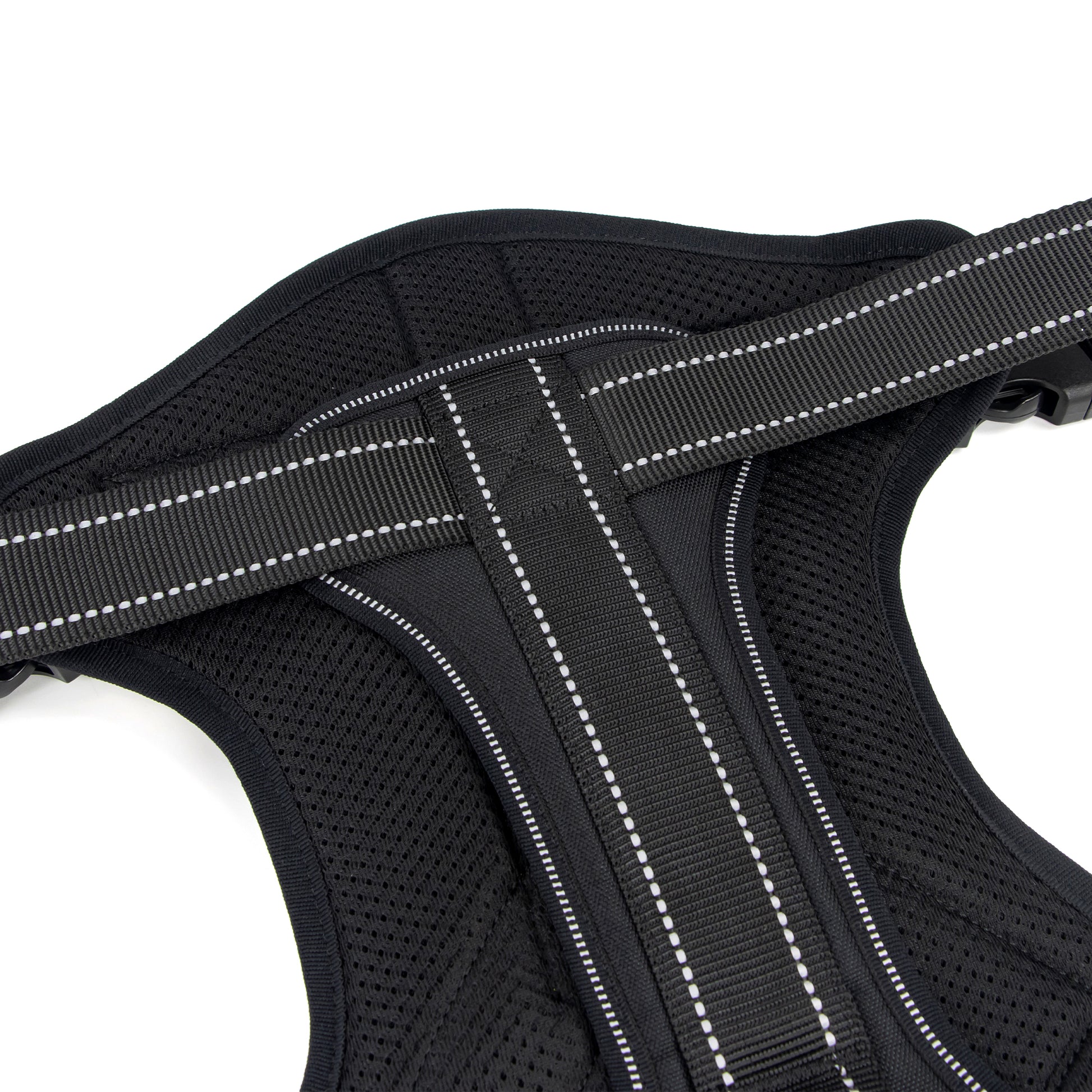 Trace Adventure Dog Harness