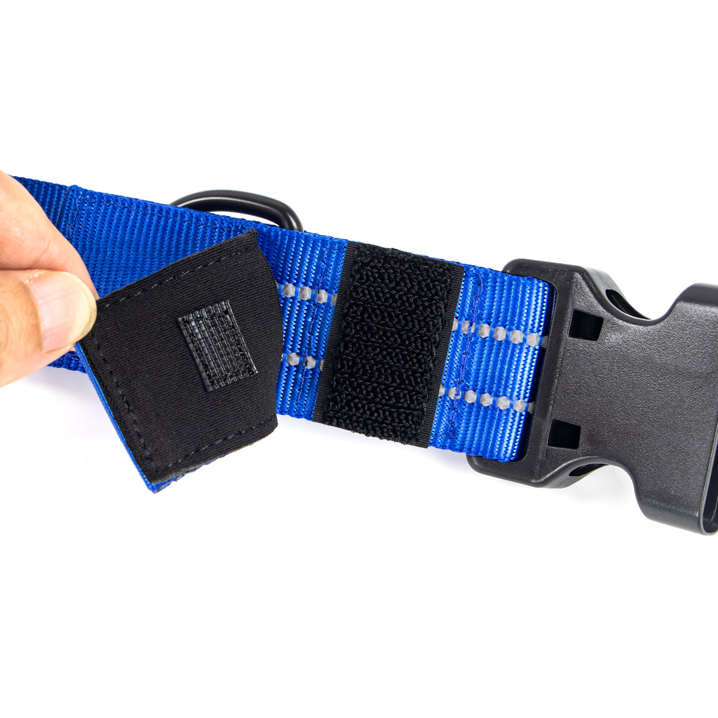 Concealed Trace Dog Collar