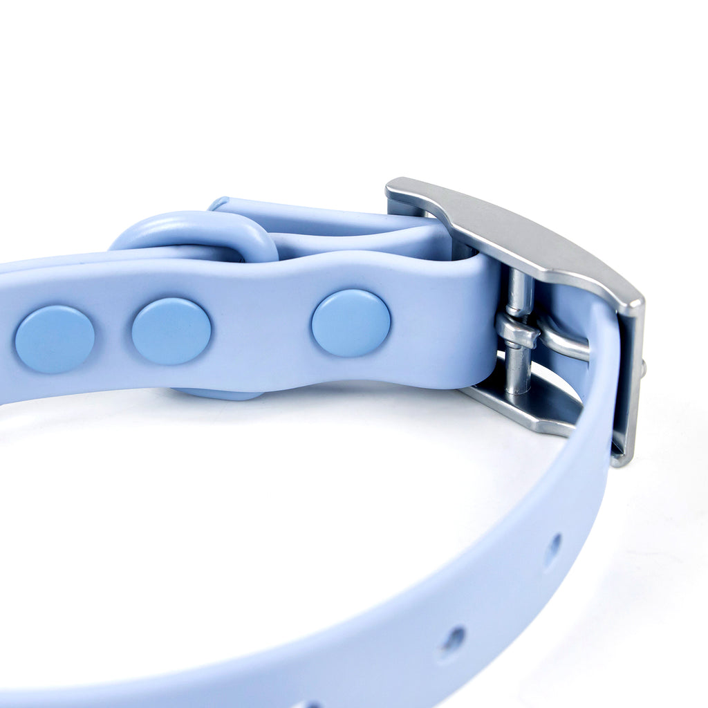 Colour Trace Dog Collar