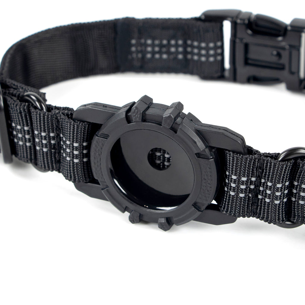 Superior Trace Dog Collar