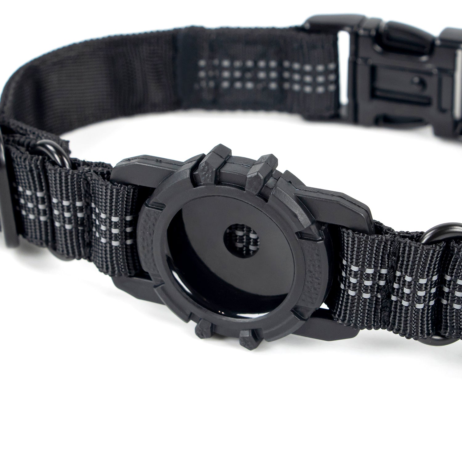Superior Trace Dog Collar