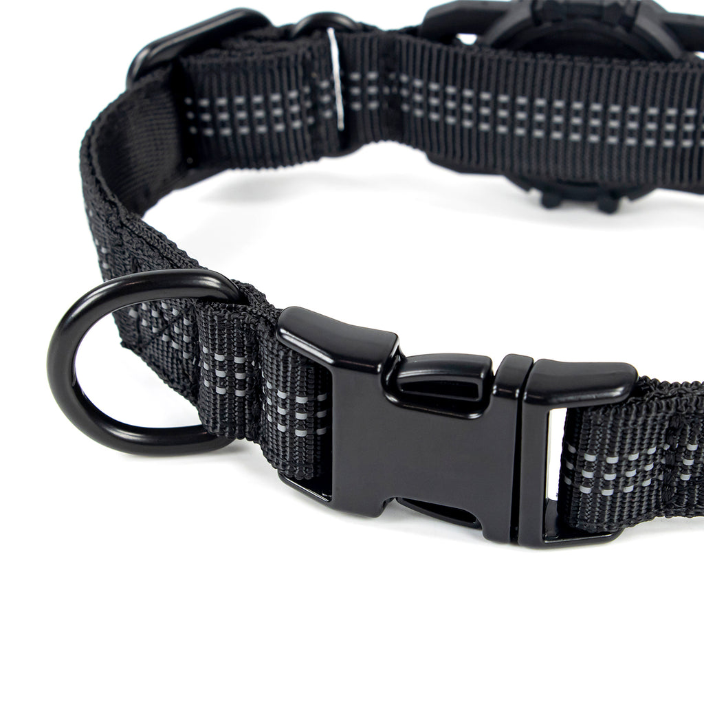 Superior Trace Dog Collar