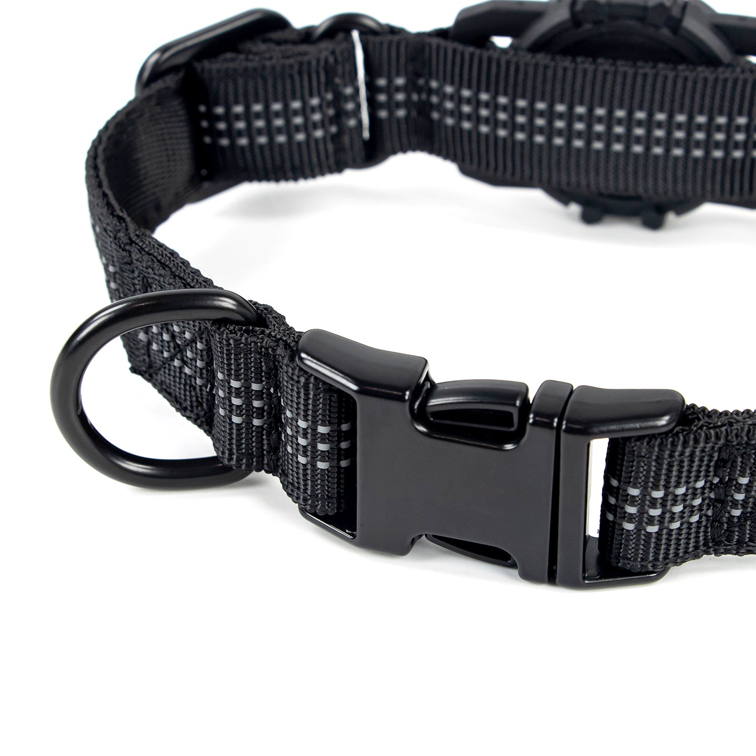 Superior Trace Dog Collar