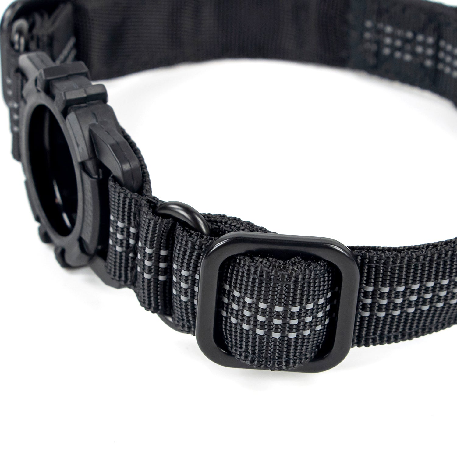 Superior Trace Dog Collar