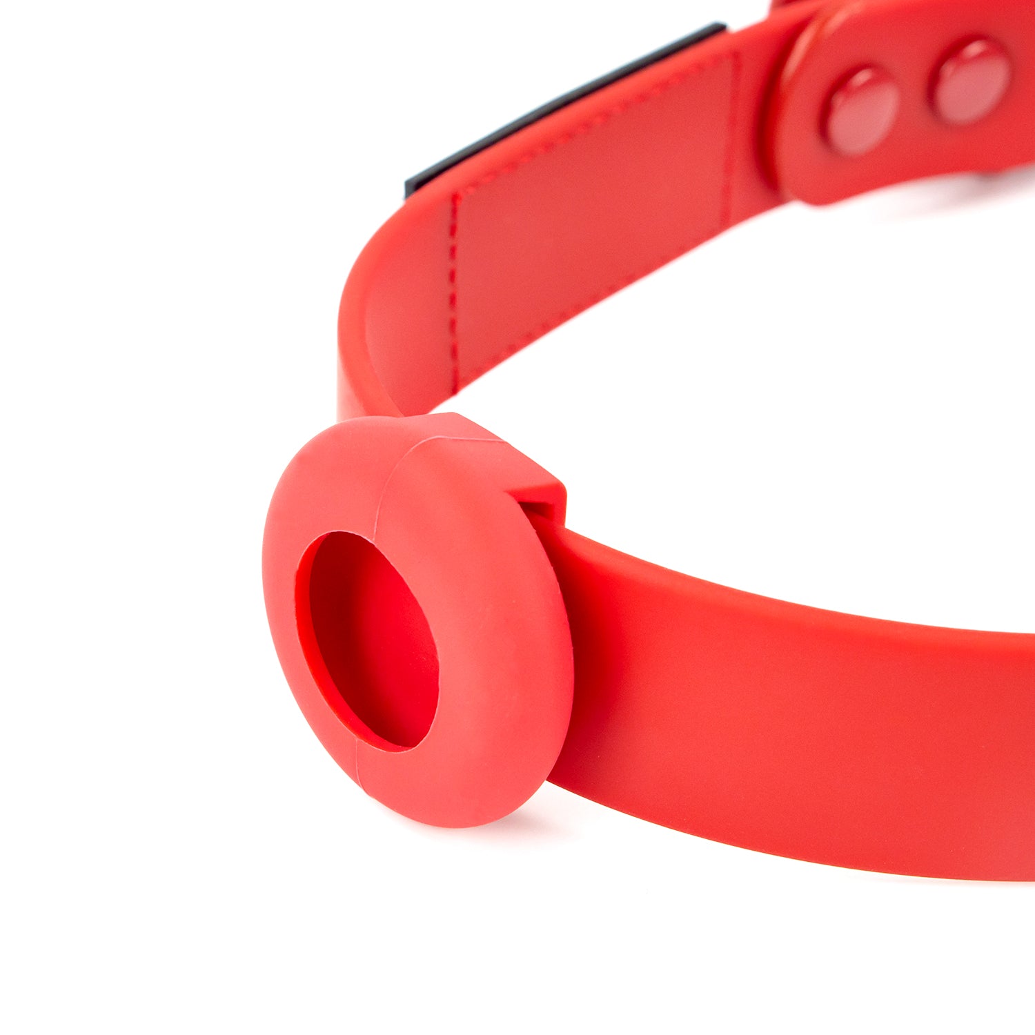 Colour Trace Dog Collar