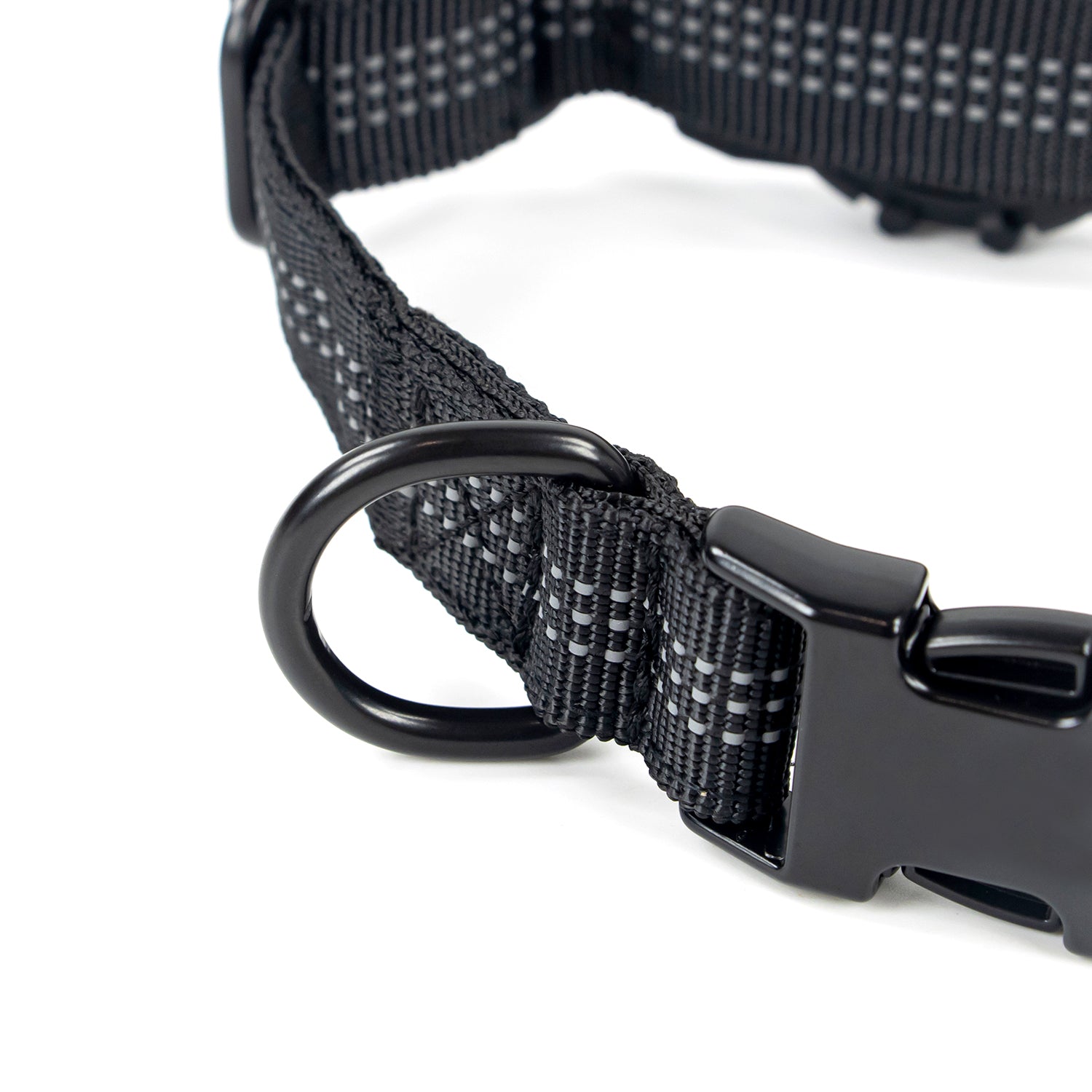 Superior Trace Dog Collar