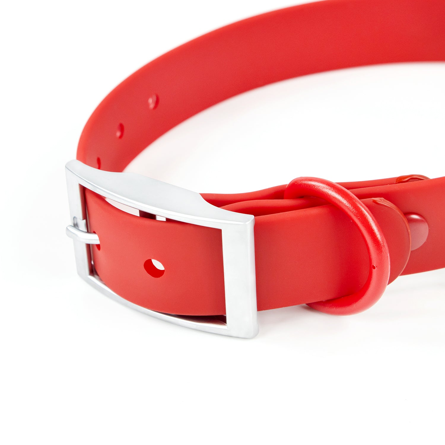 Colour Trace Dog Collar