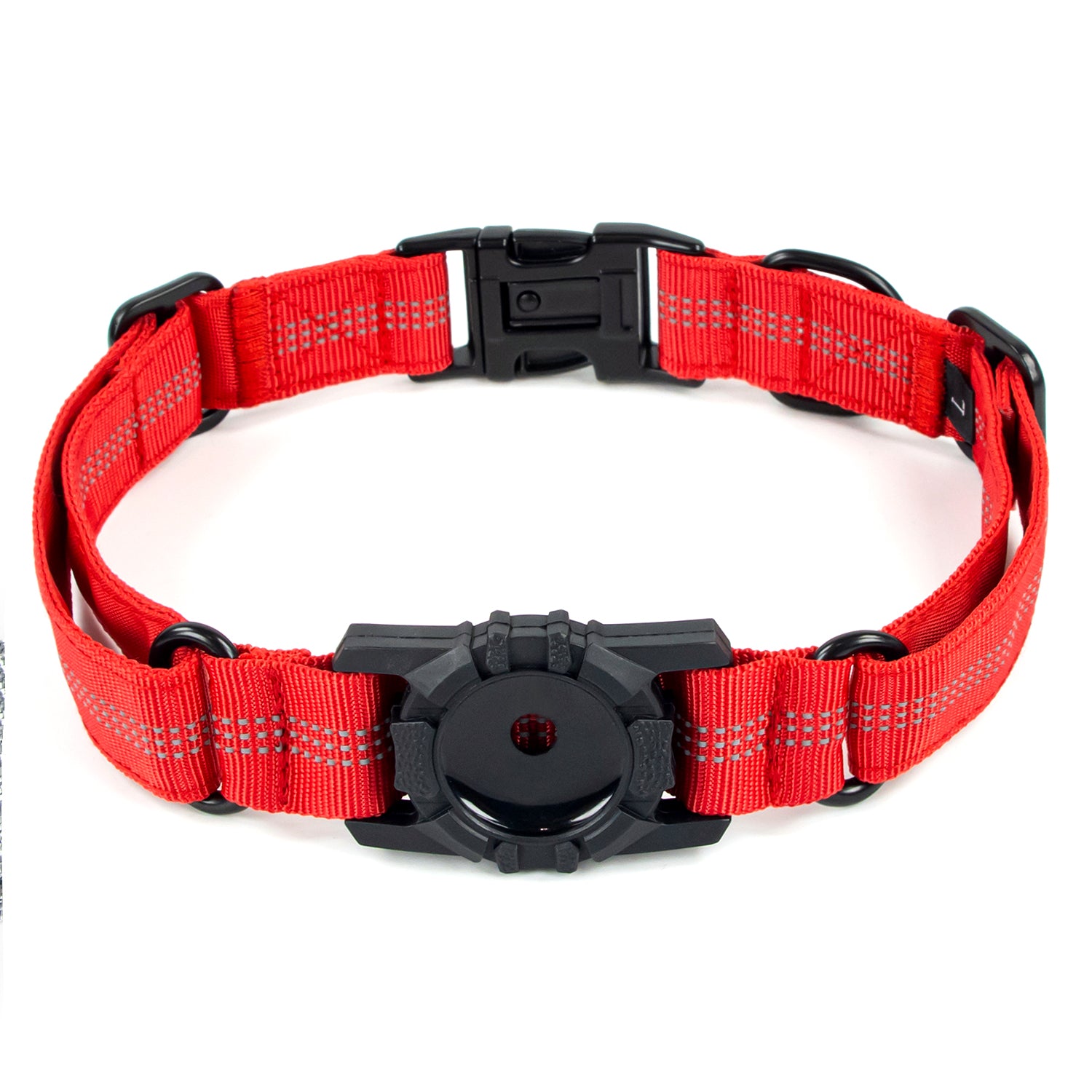 Superior Trace Dog Collar