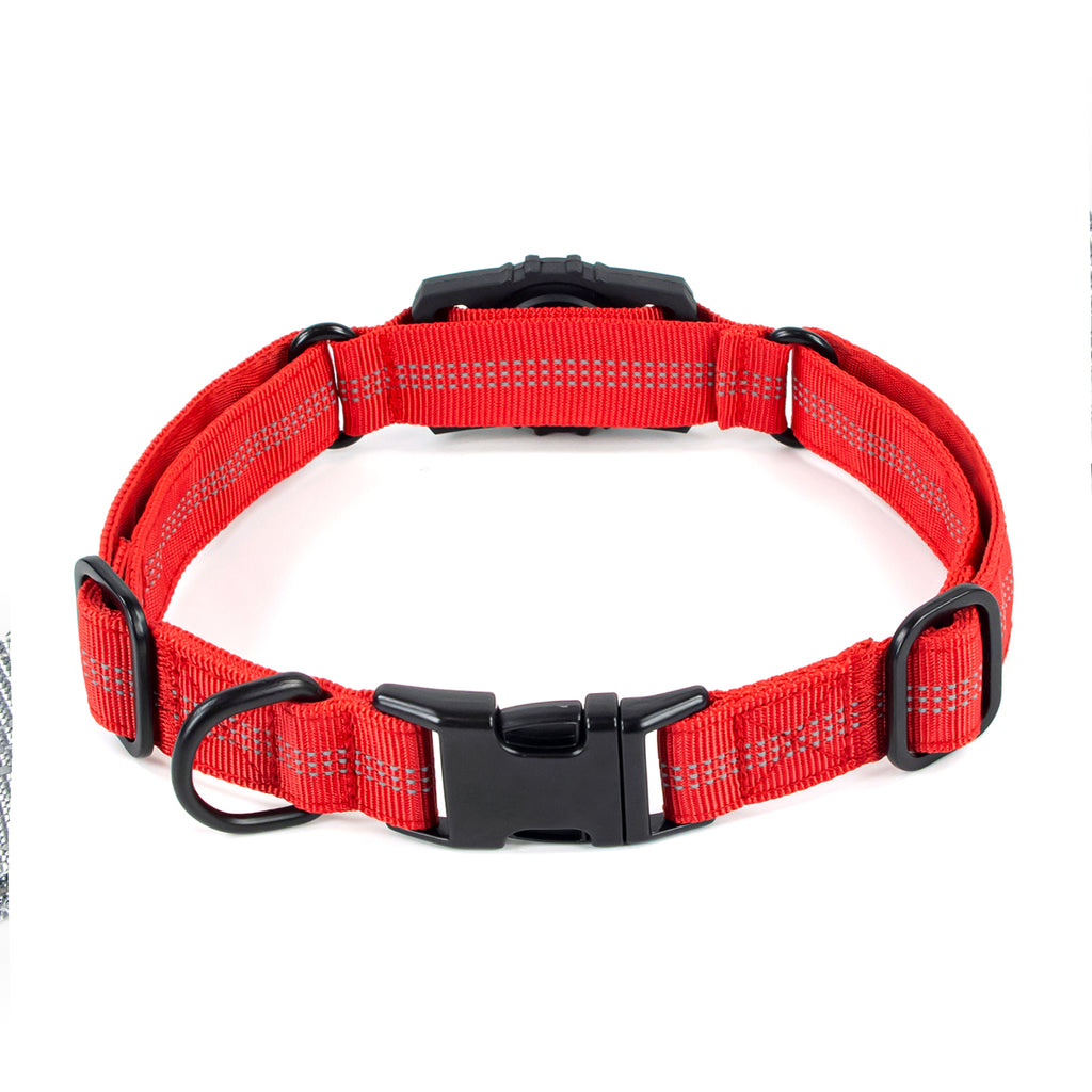 Superior Trace Dog Collar