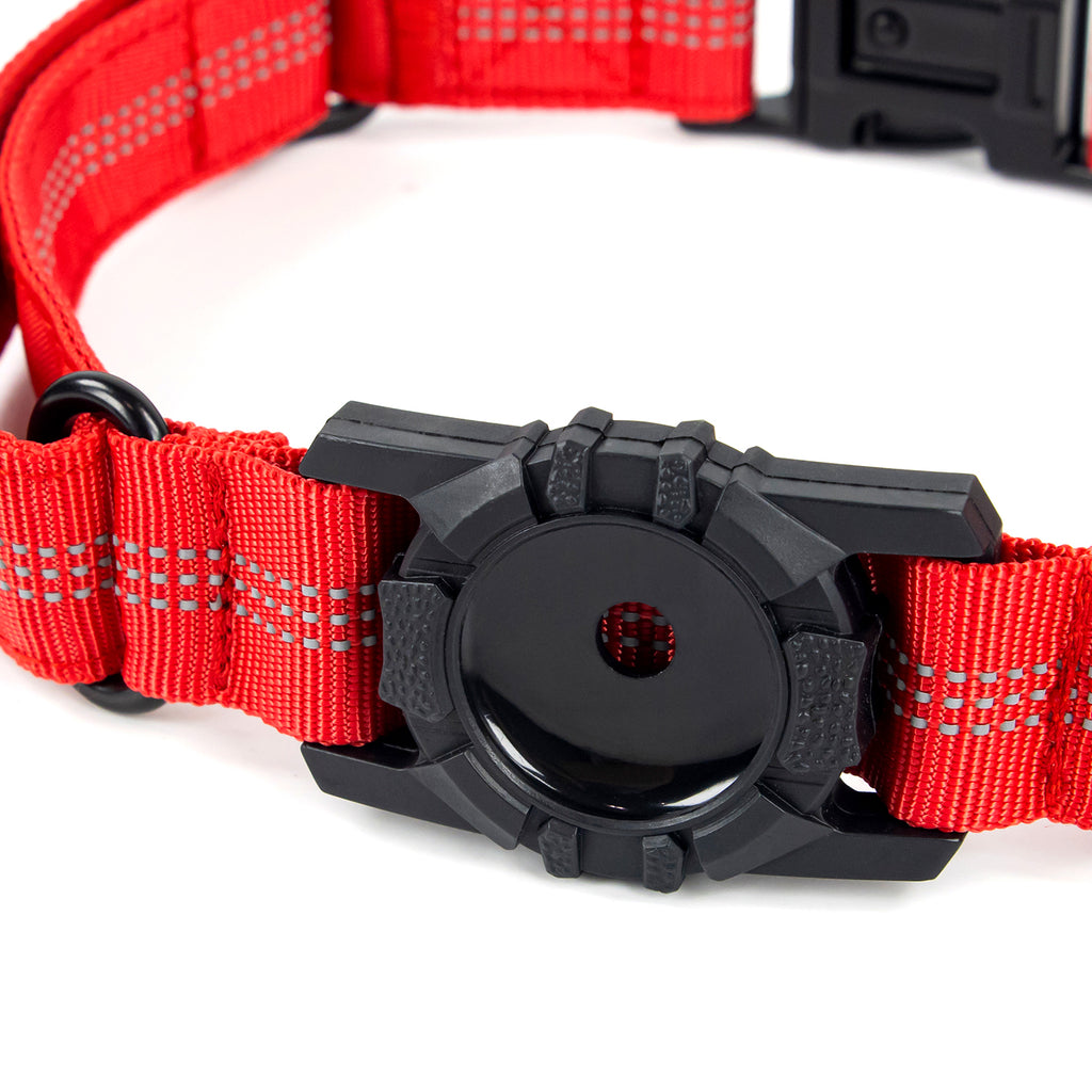 Superior Trace Dog Collar