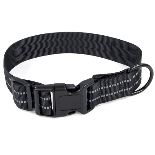 Concealed Trace Dog Collar
