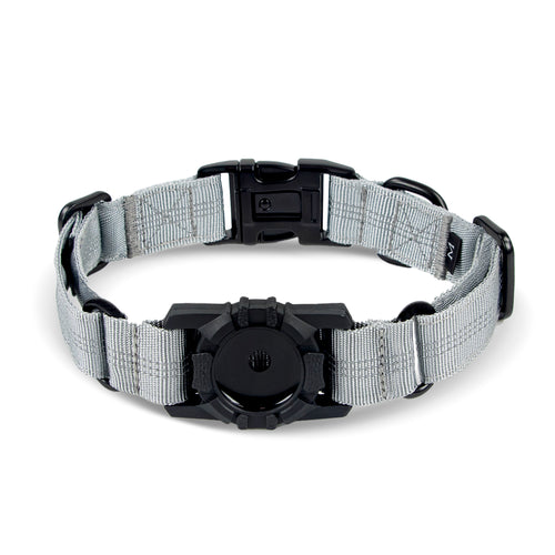 Superior Trace Dog Collar