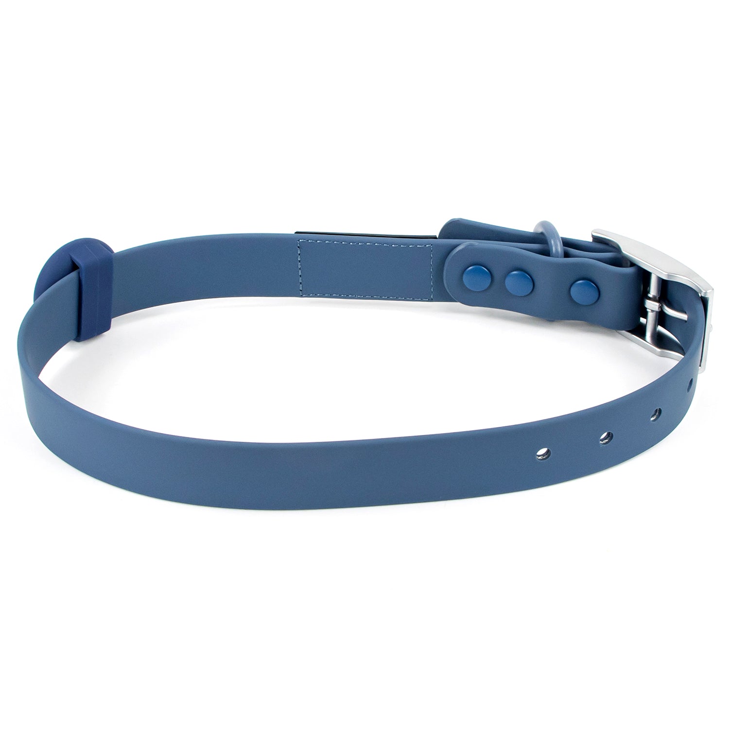 Colour Trace Dog Collar