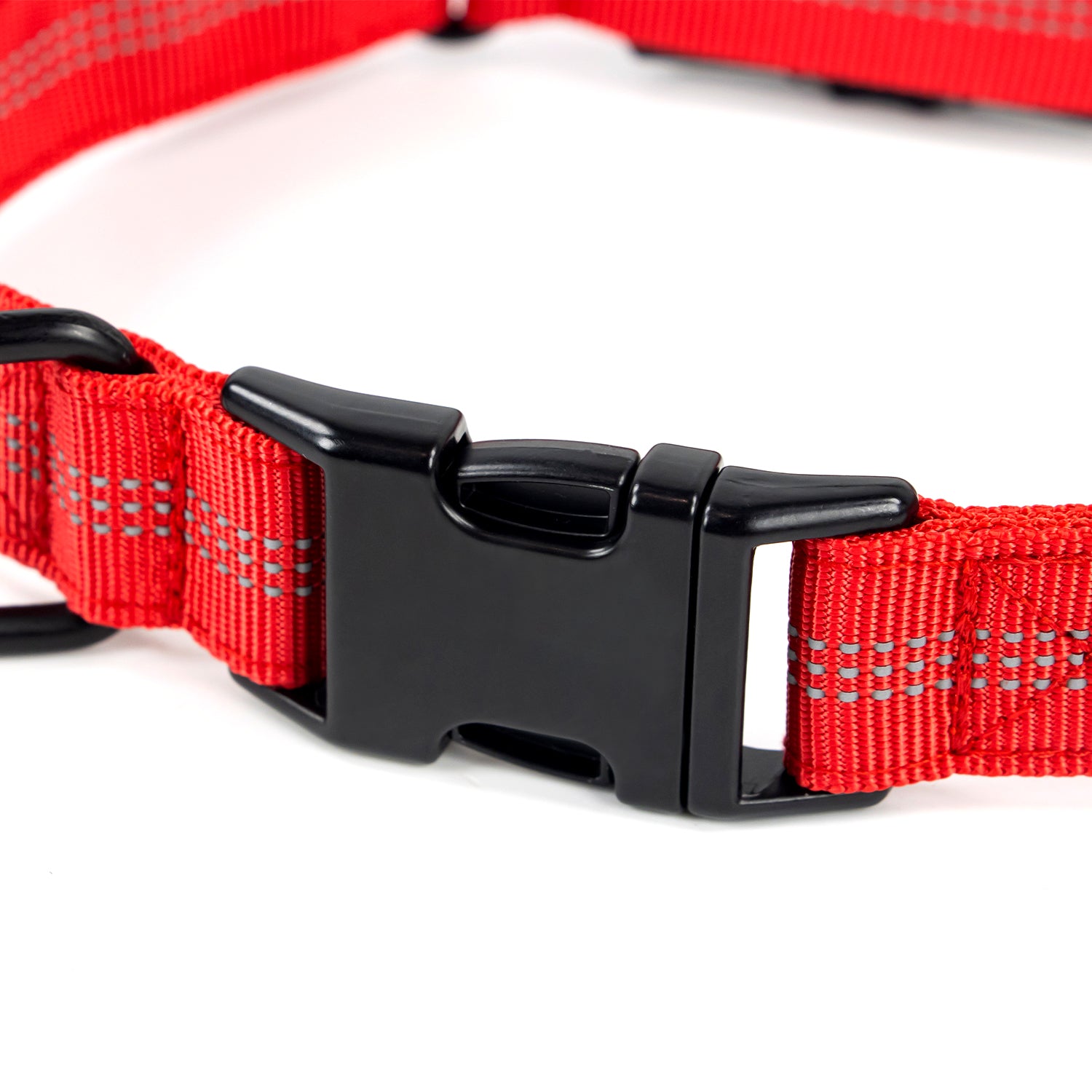 Superior Trace Dog Collar