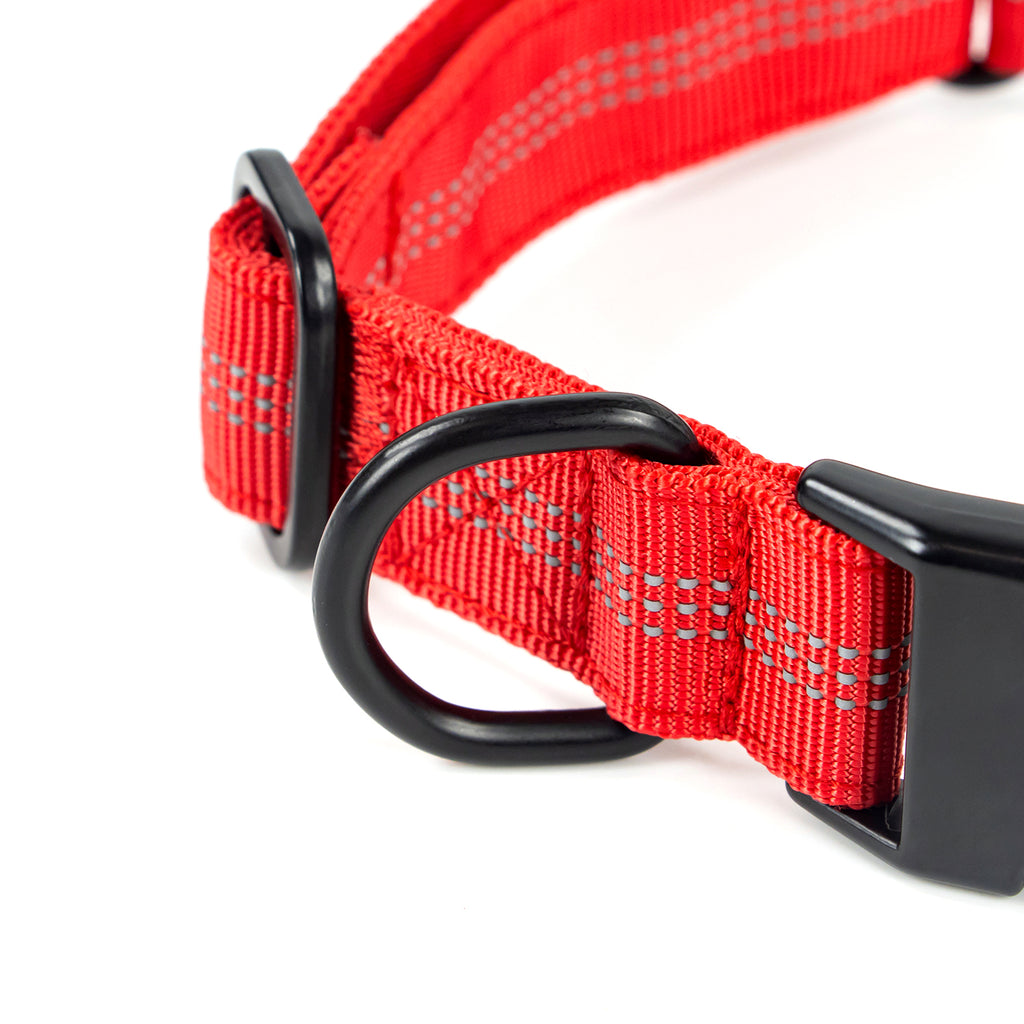 Superior Trace Dog Collar