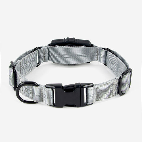 Superior Trace Dog Collar