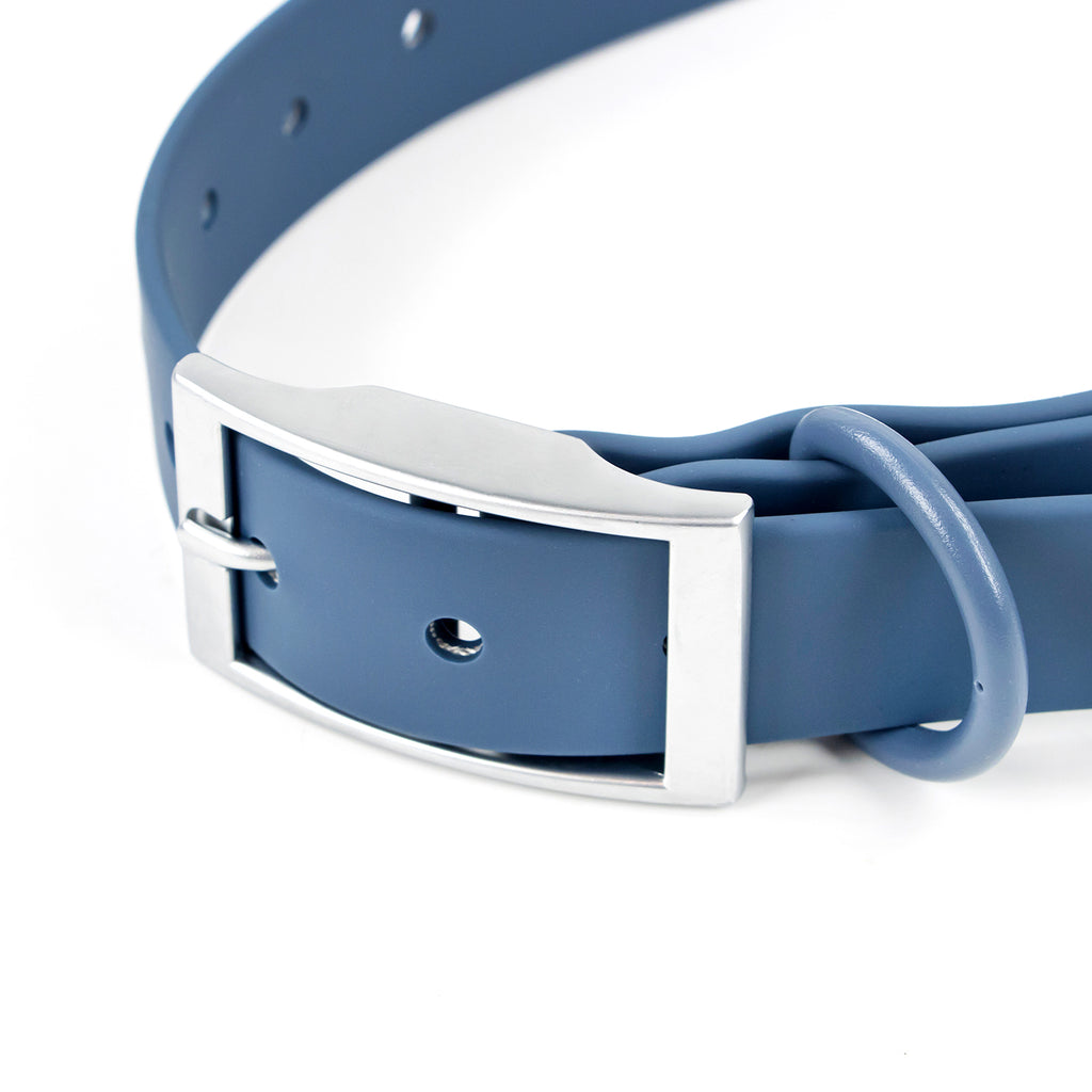 Colour Trace Dog Collar