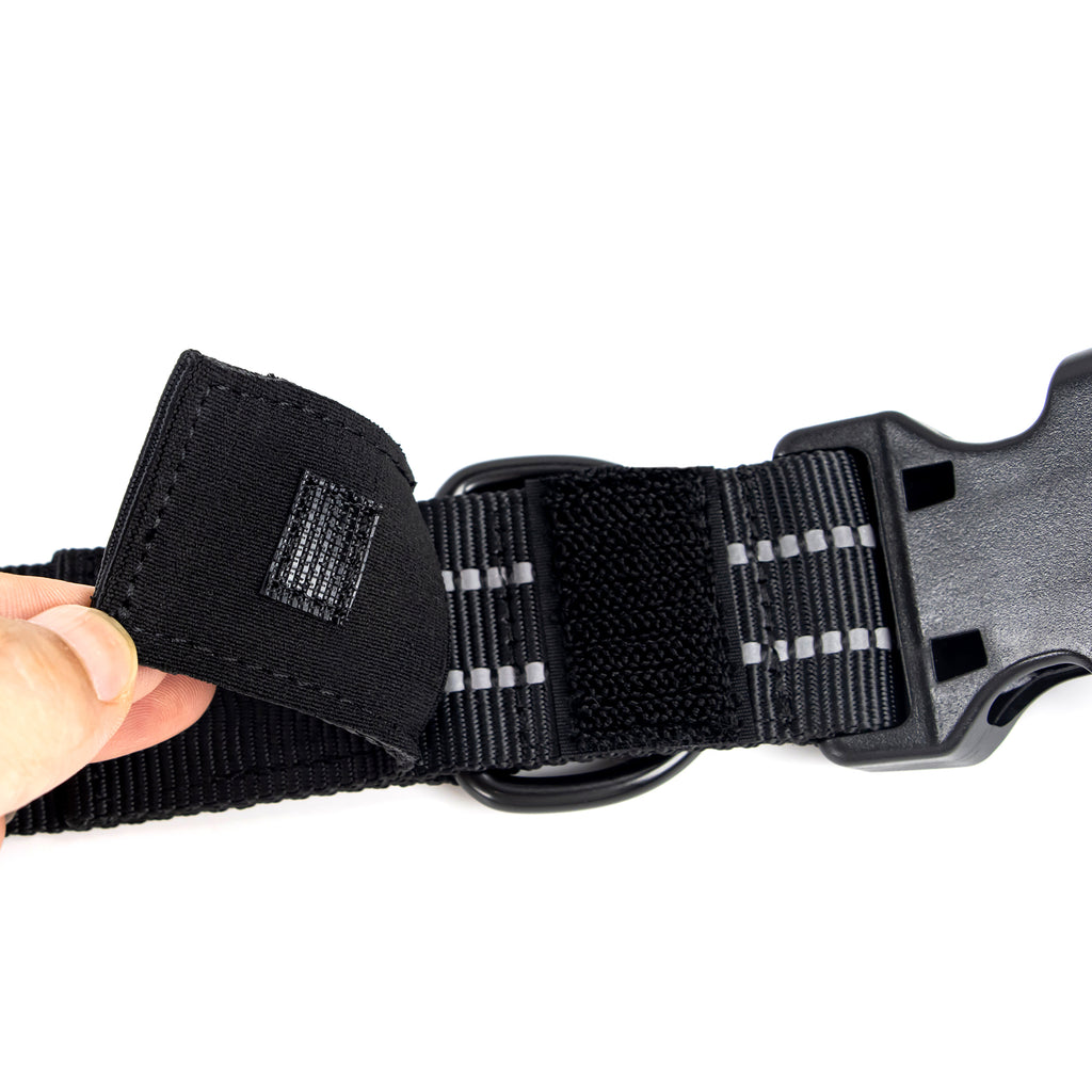 Concealed Trace Dog Collar