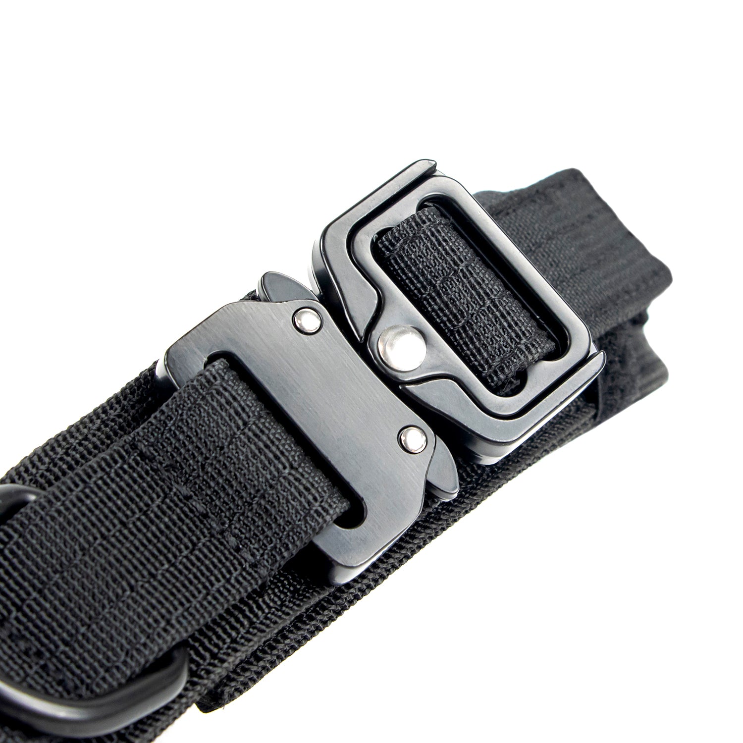 Tactical Trace Dog Collar