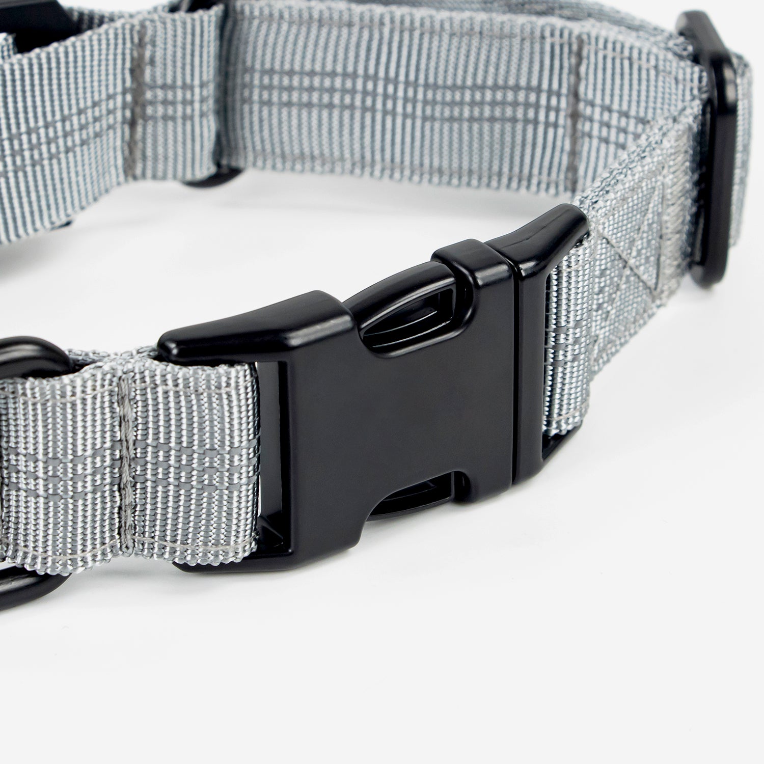 Superior Trace Dog Collar
