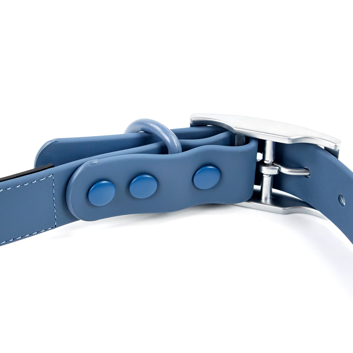 Colour Trace Dog Collar