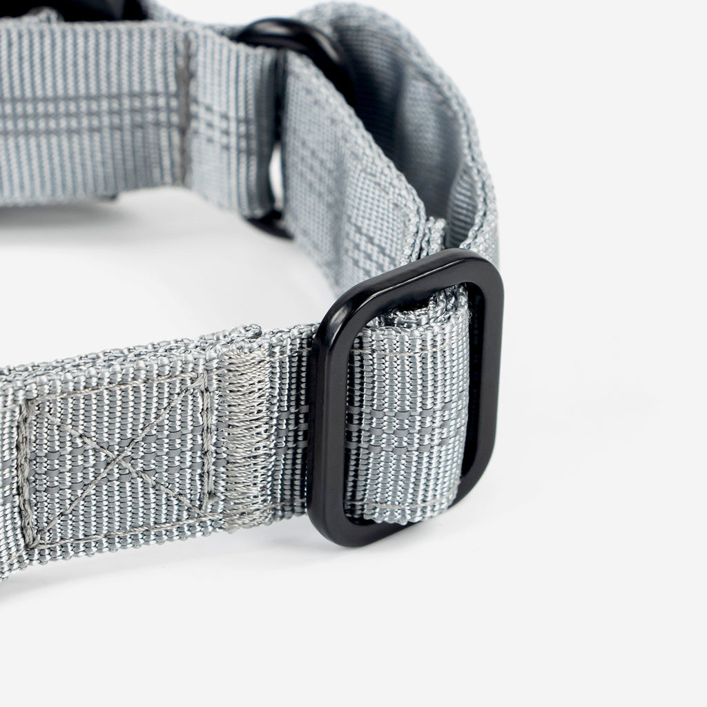 Superior Trace Dog Collar