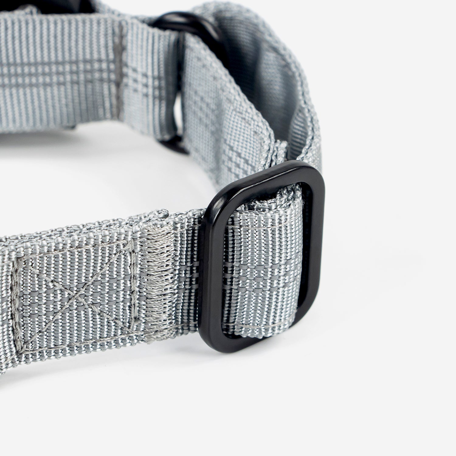 Superior Trace Dog Collar