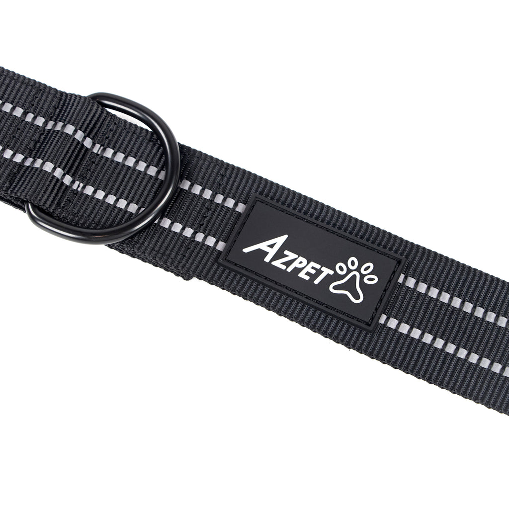 Concealed Trace Dog Collar