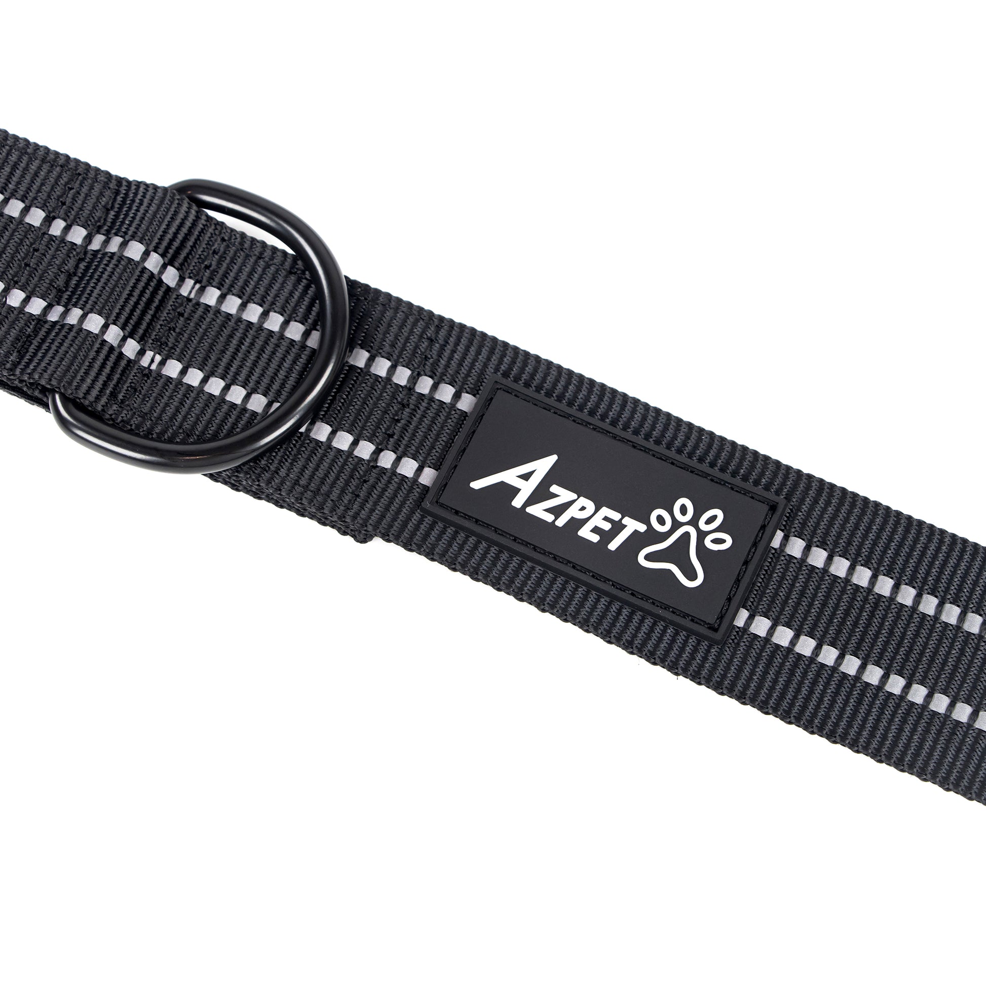 Concealed Trace Dog Collar