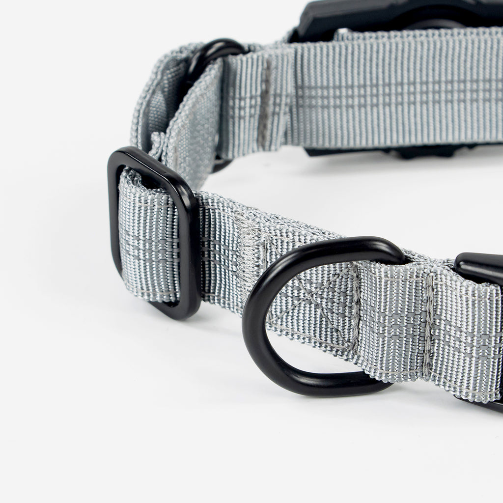 Superior Trace Dog Collar