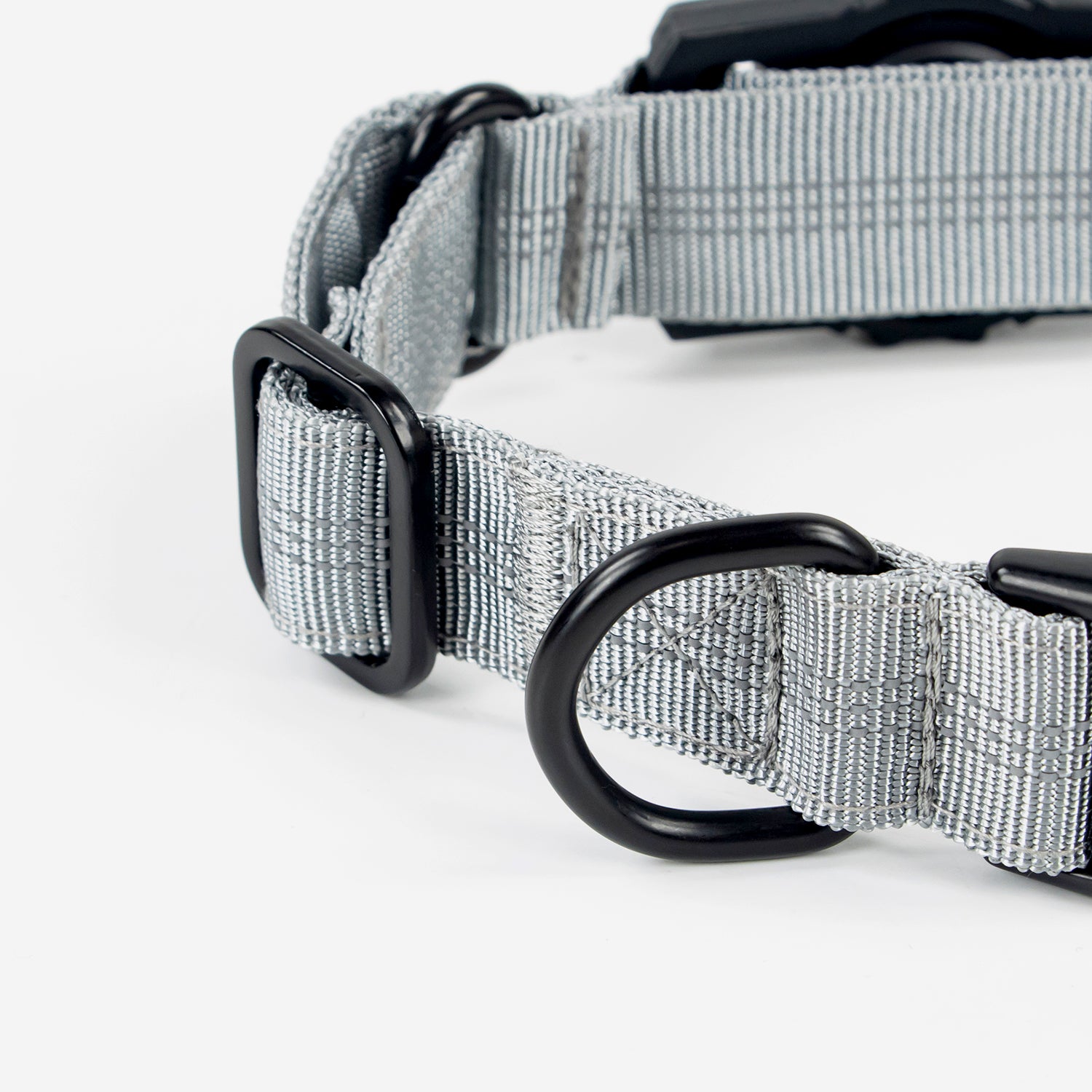 Superior Trace Dog Collar