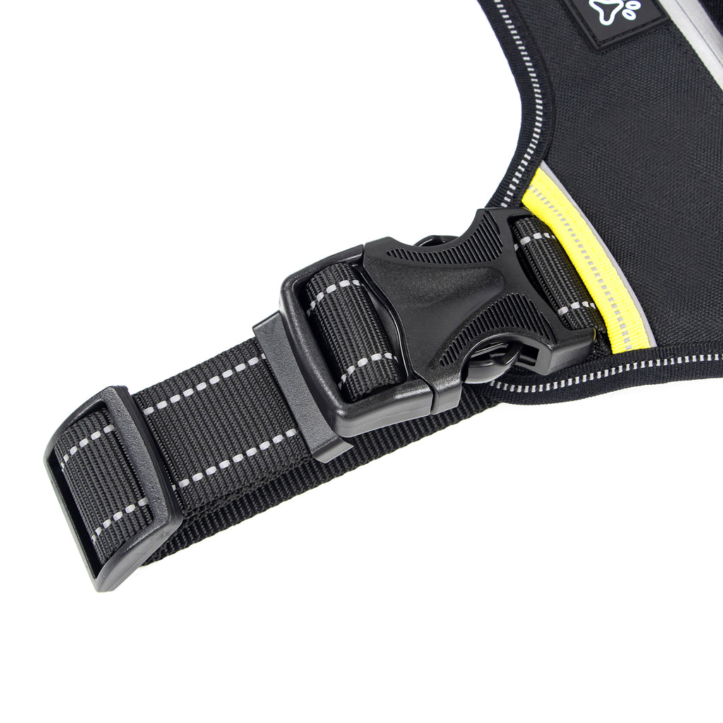 Trace Adventure Dog Harness