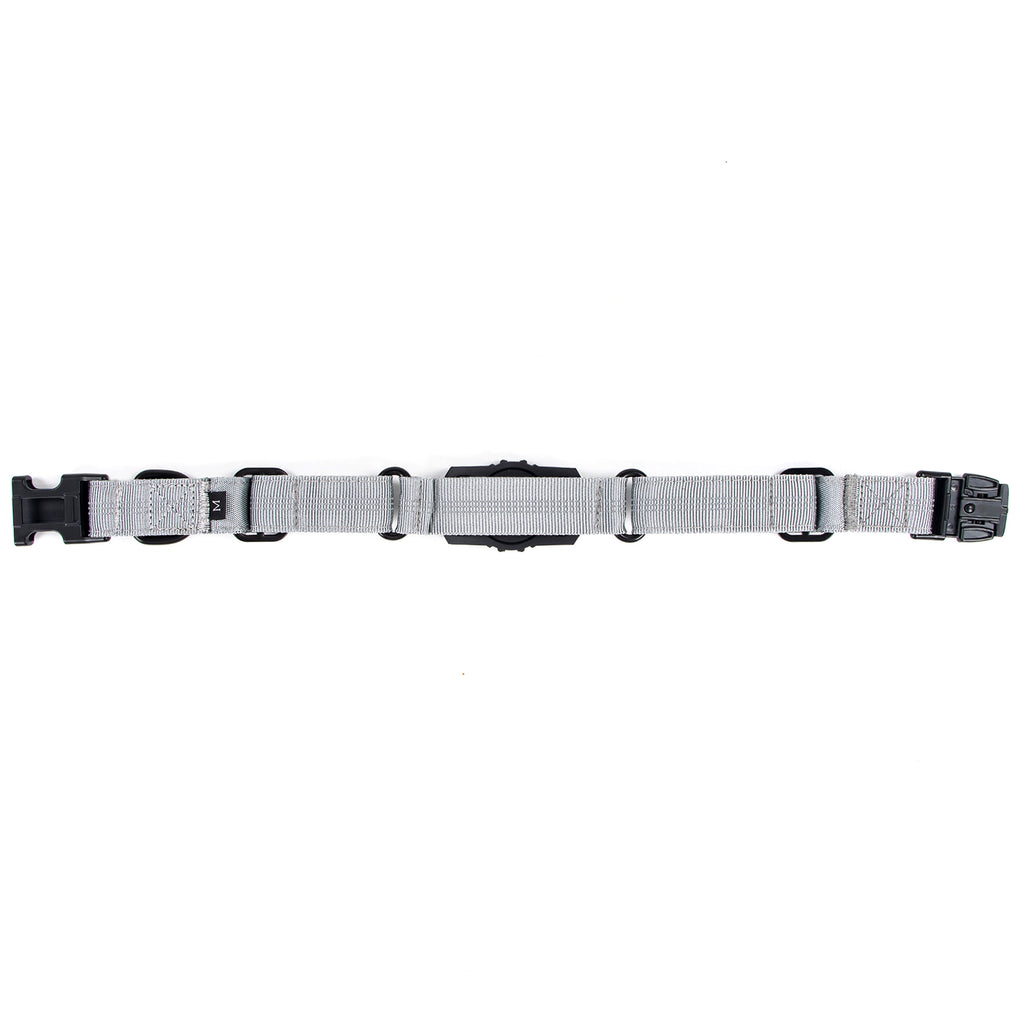 Superior Trace Dog Collar