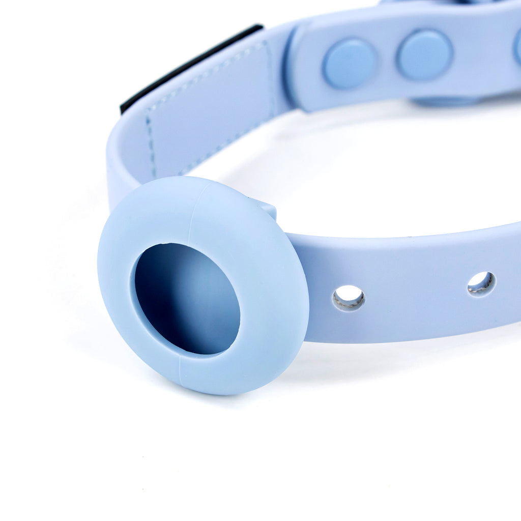 Colour Trace Dog Collar