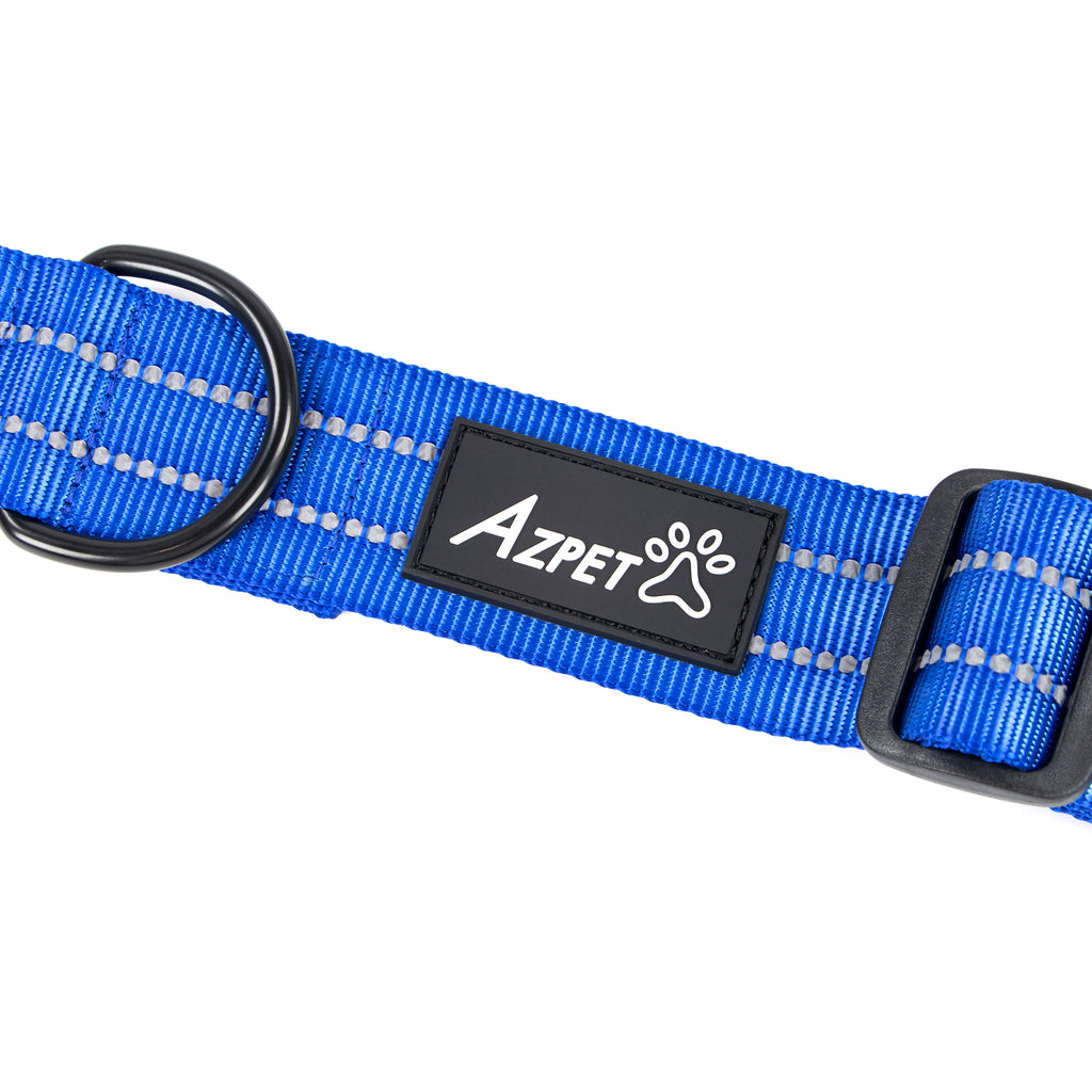 Concealed Trace Dog Collar