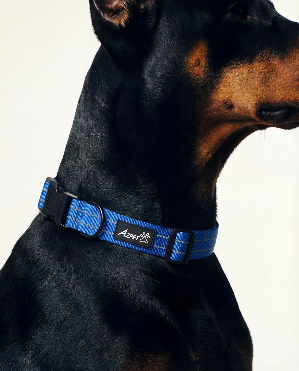 Concealed Trace Dog Collar