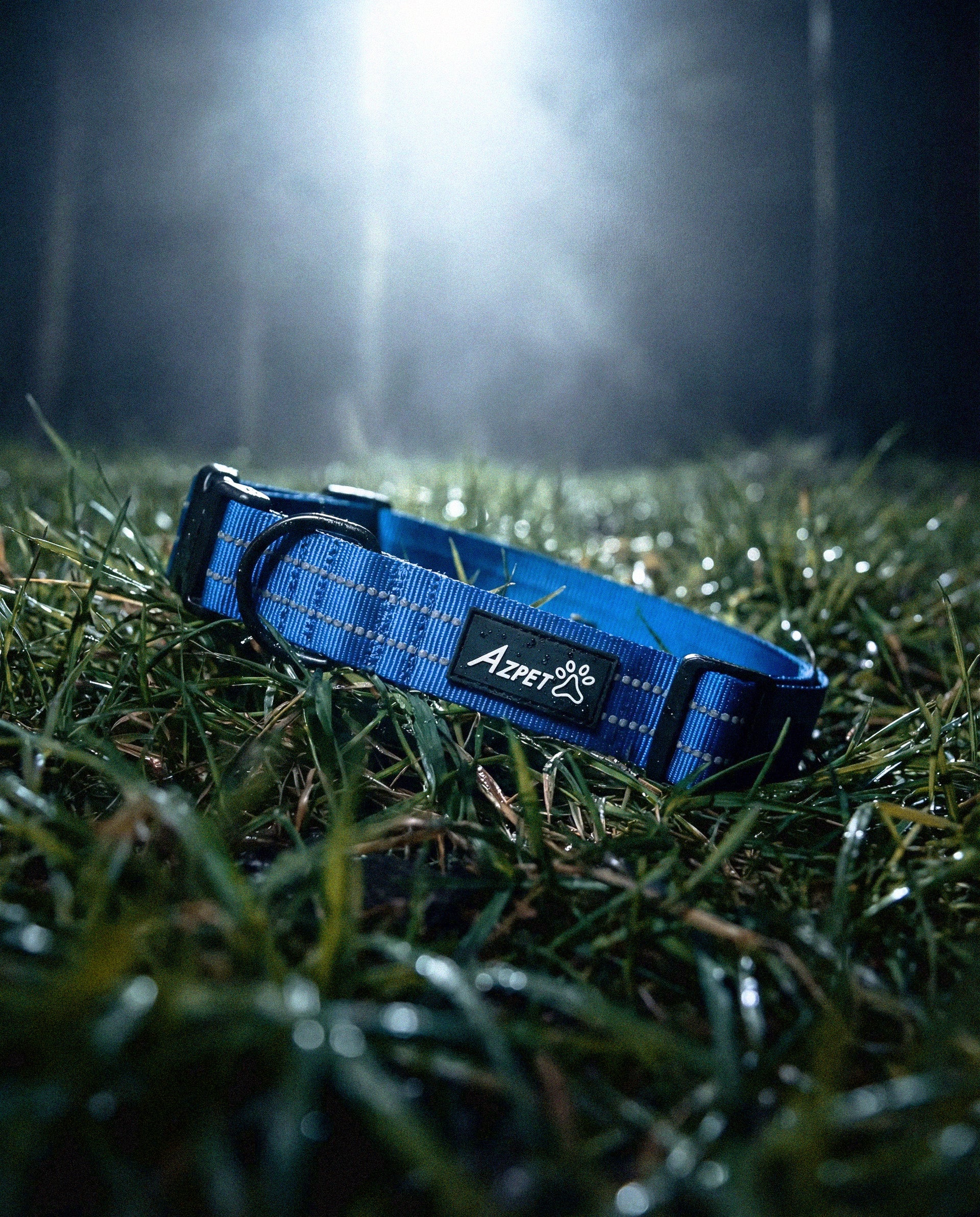 Concealed Trace Dog Collar