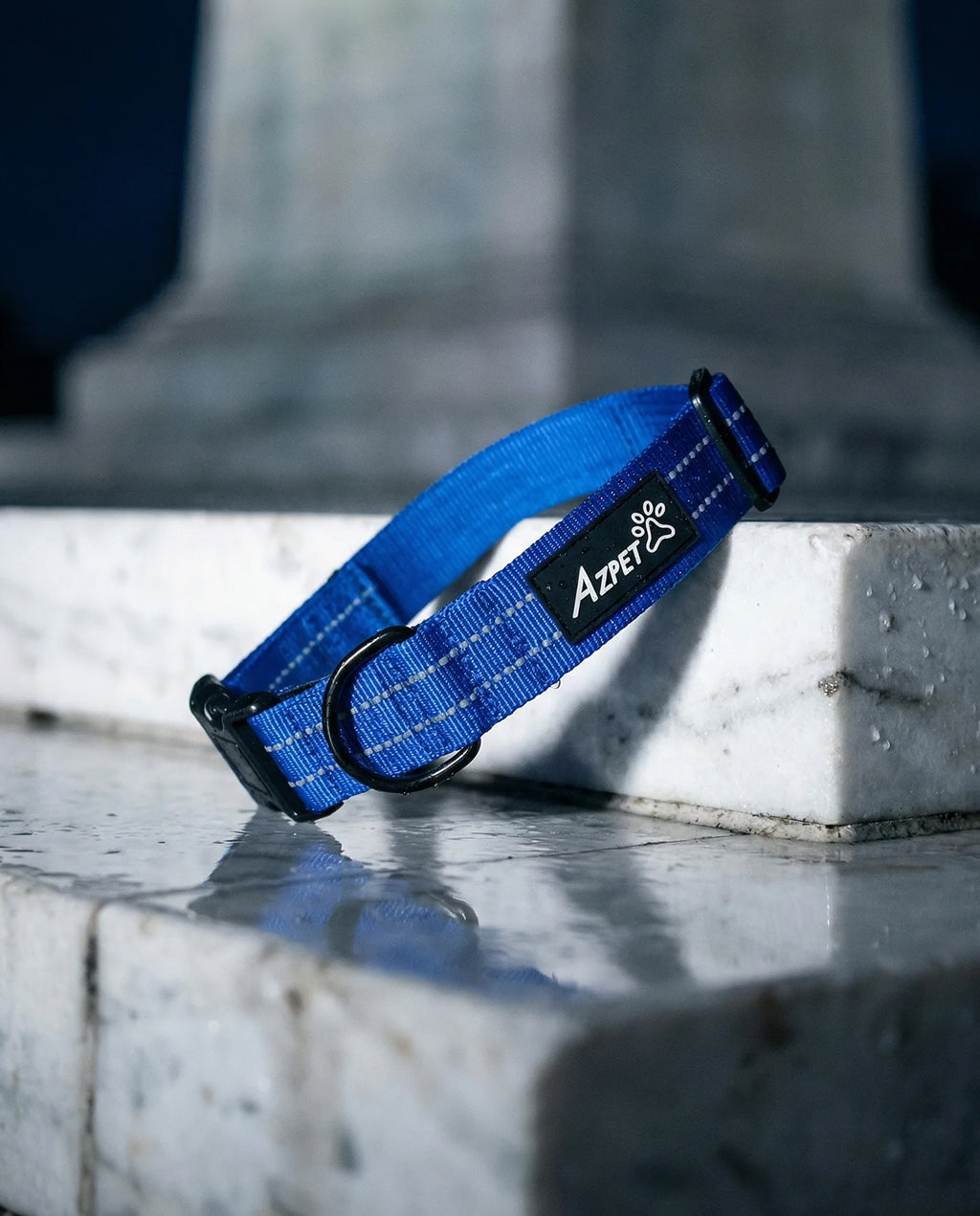 Concealed Trace Dog Collar