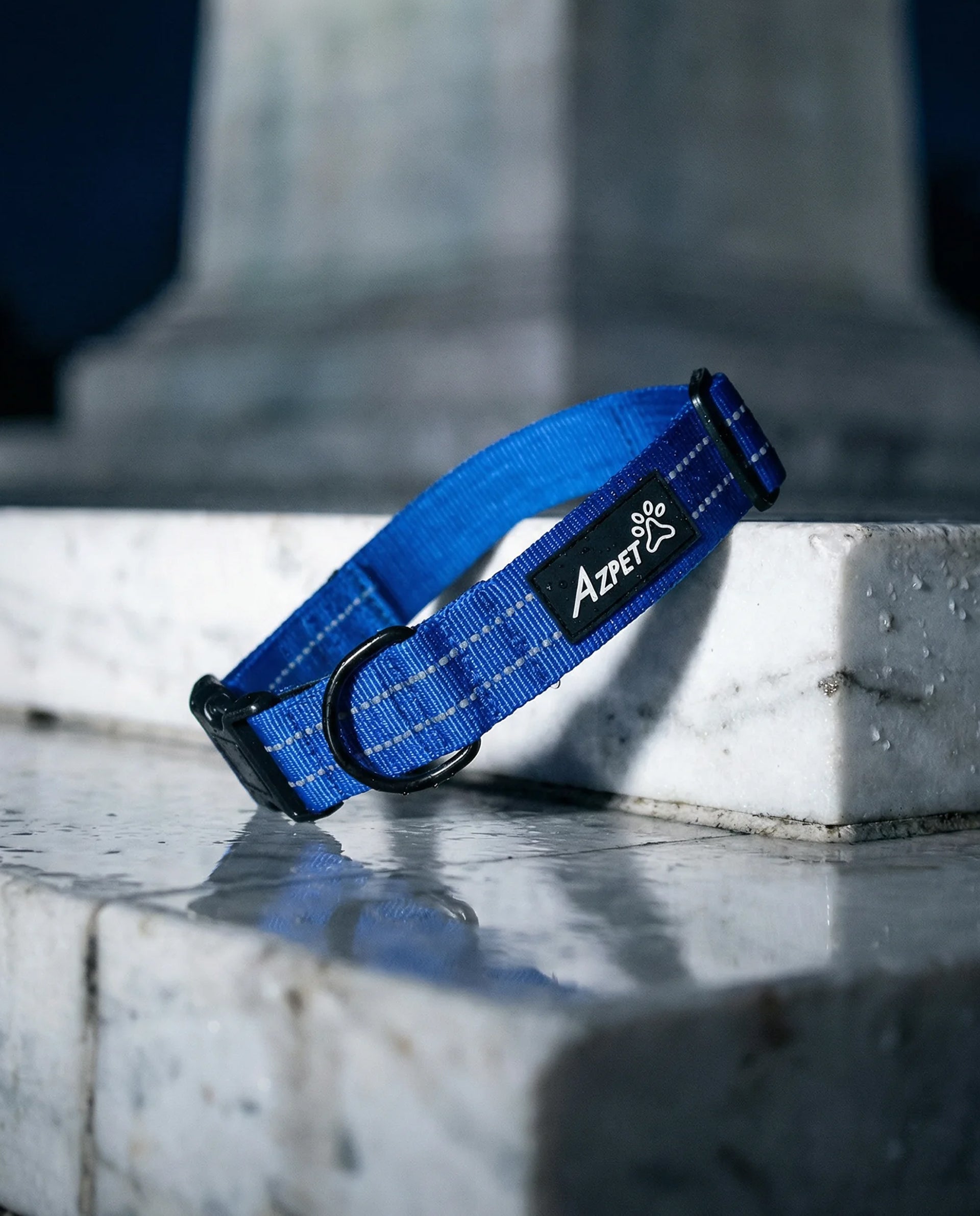 Concealed Trace Dog Collar