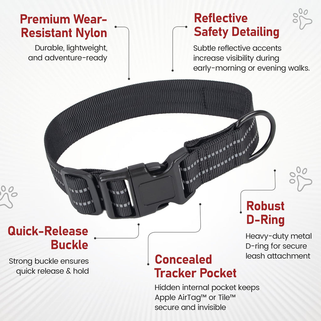 Concealed Trace Dog Collar