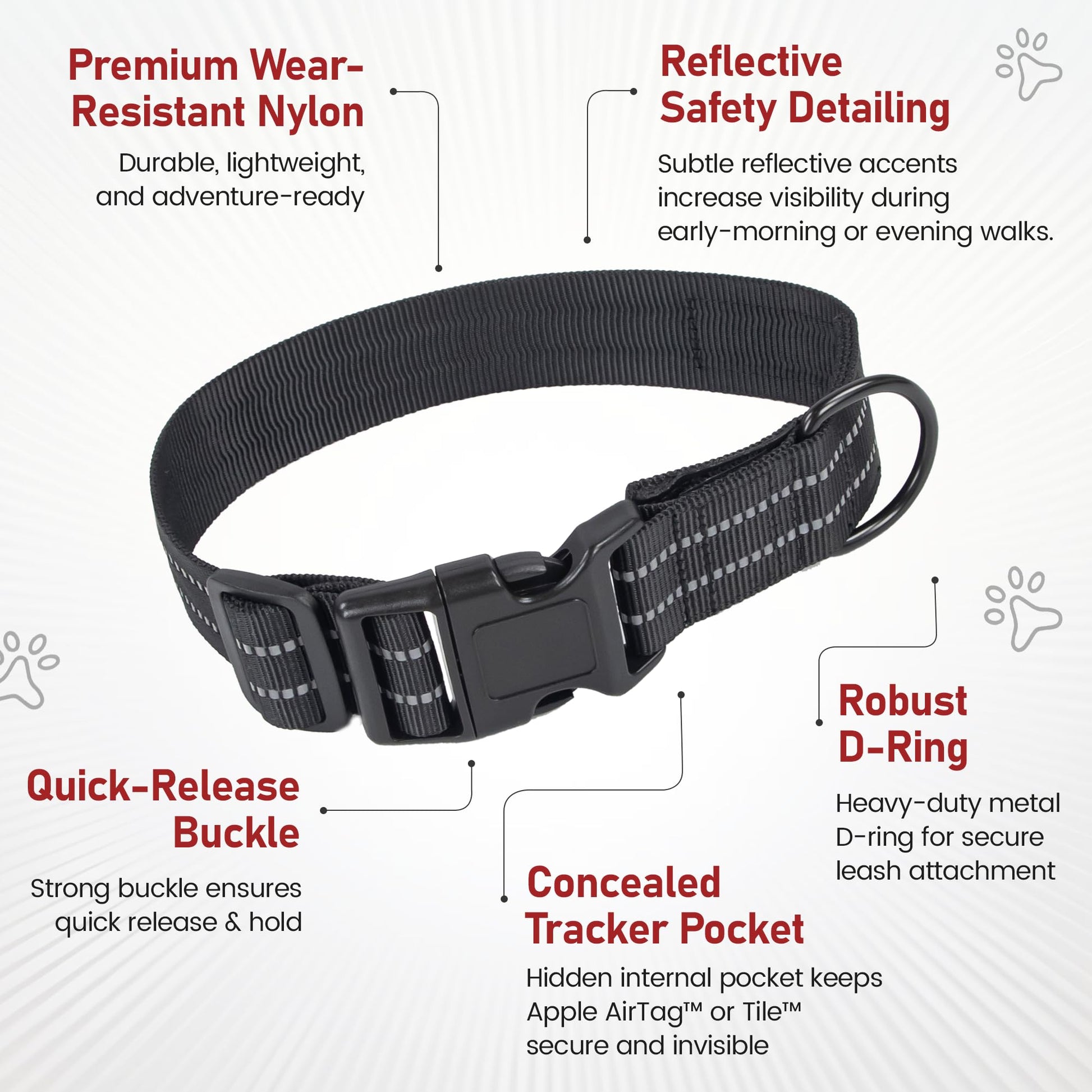 Concealed Trace Dog Collar