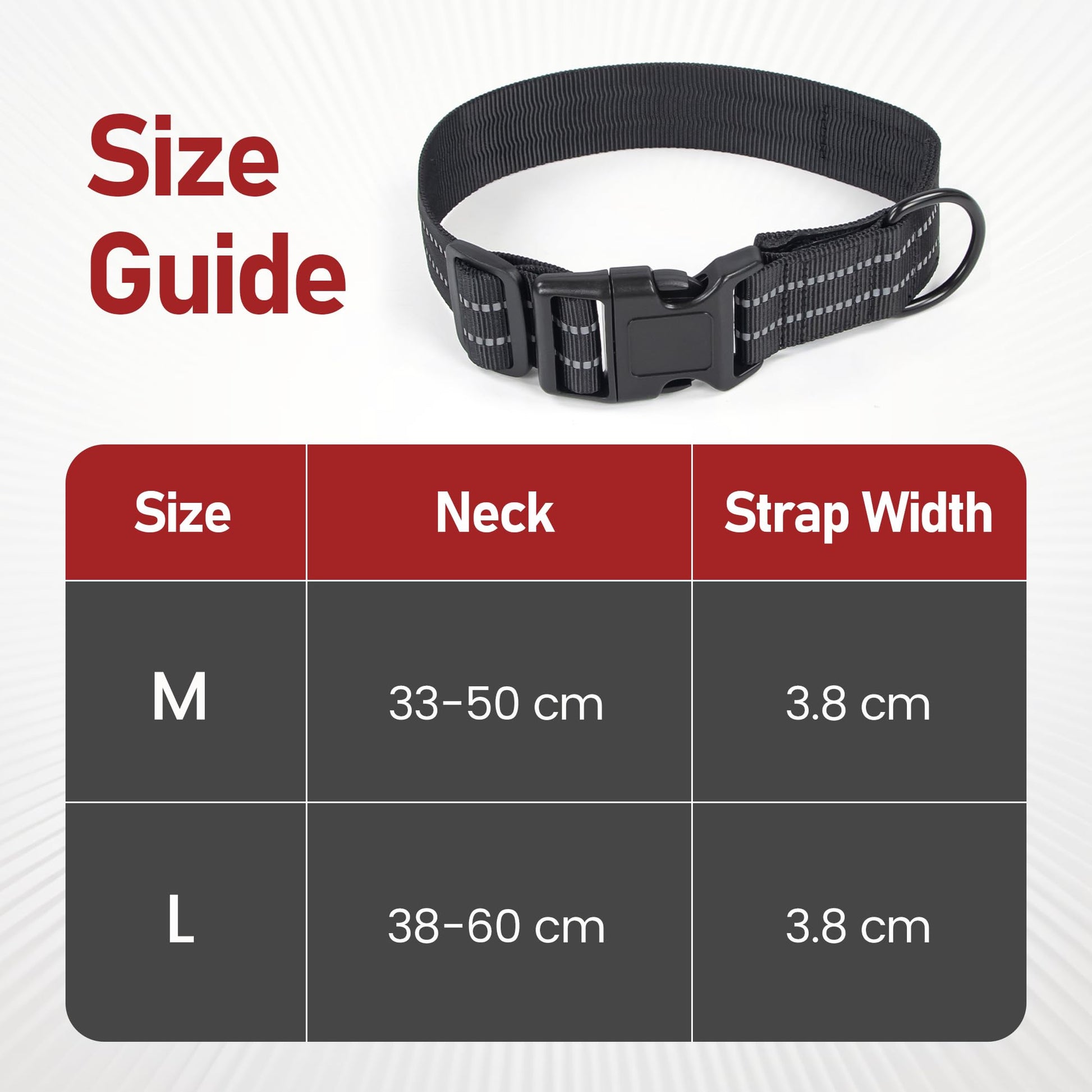 Concealed Trace Dog Collar