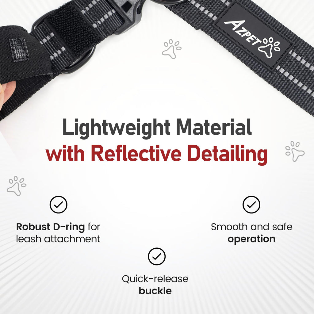 Concealed Trace Dog Collar