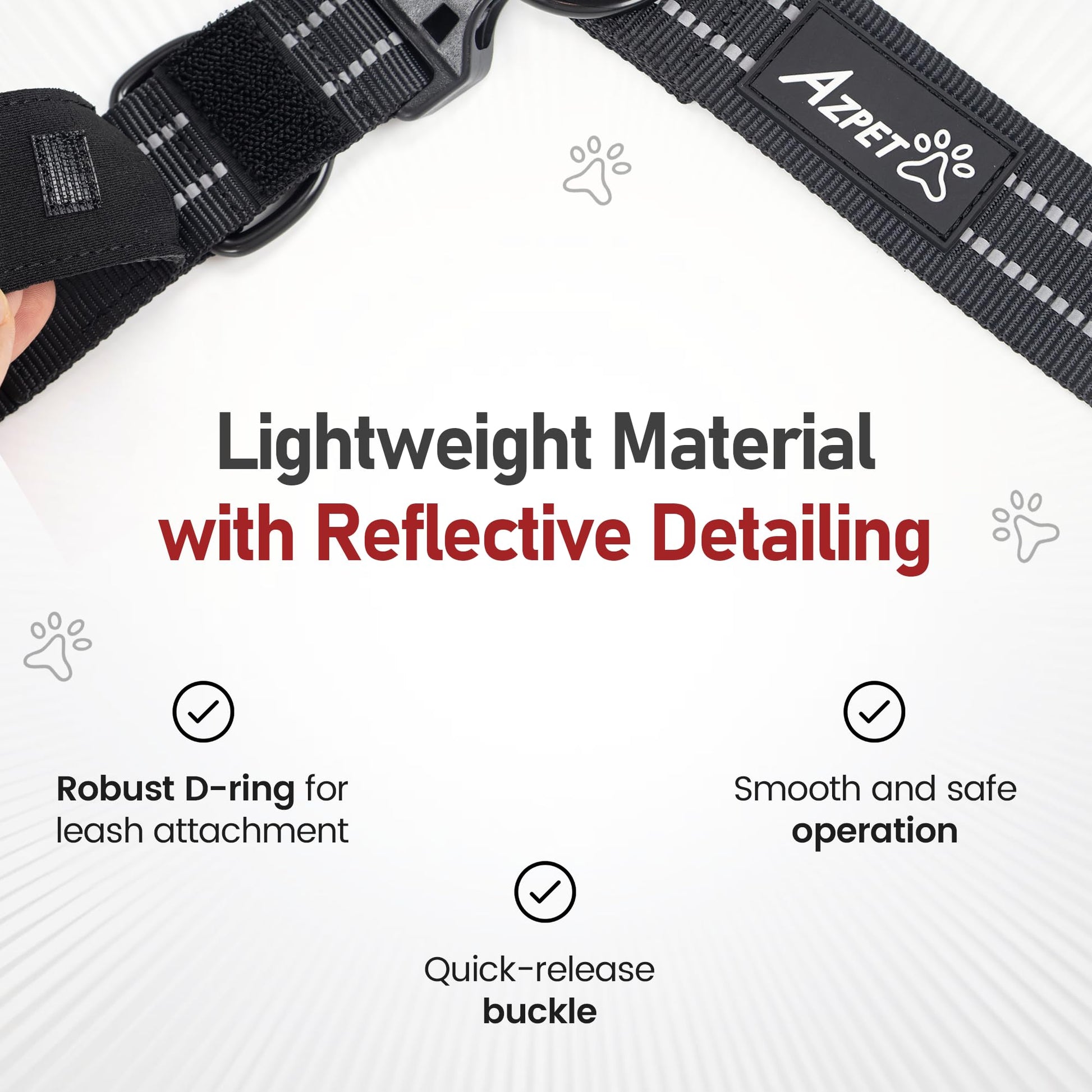 Concealed Trace Dog Collar