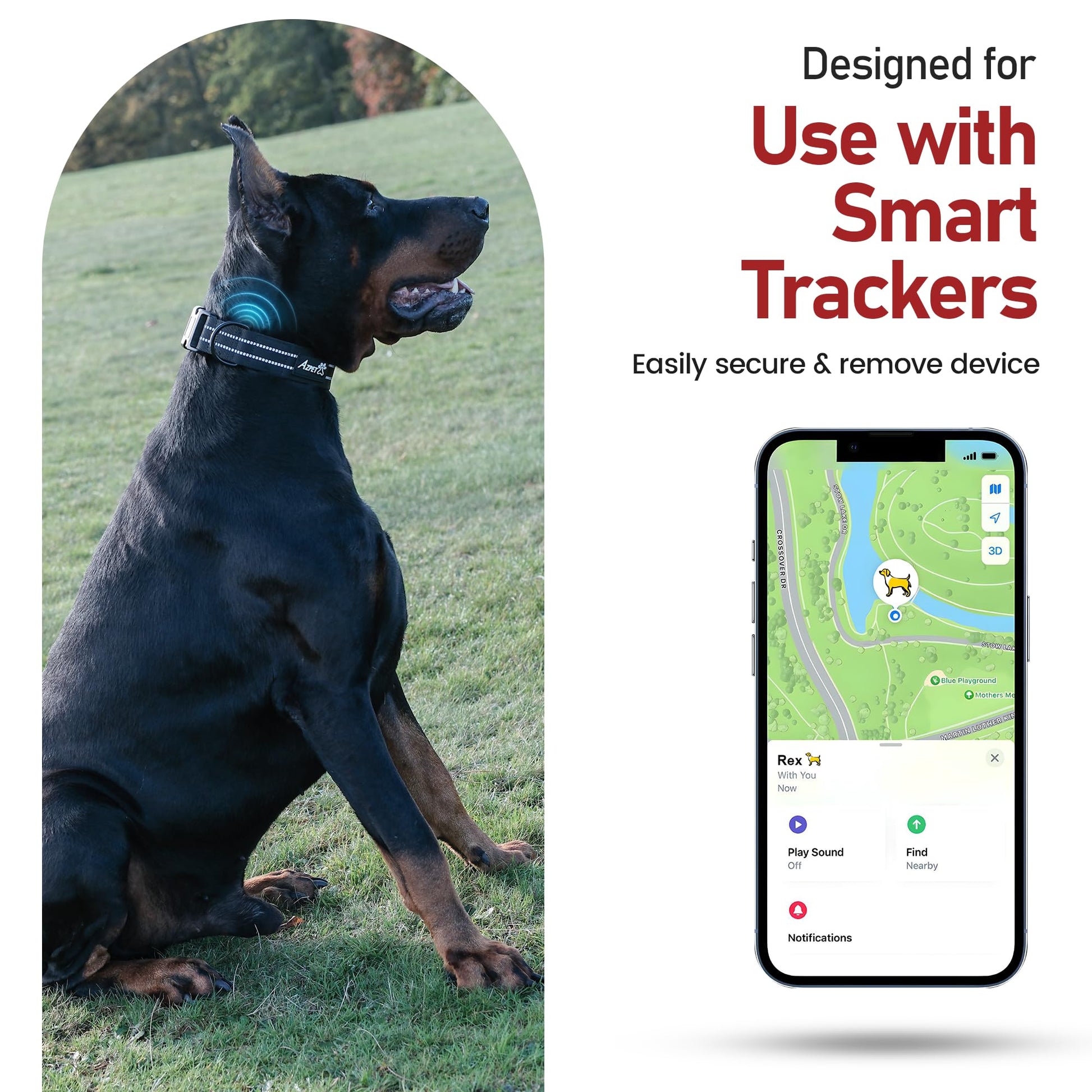 Concealed Trace Dog Collar