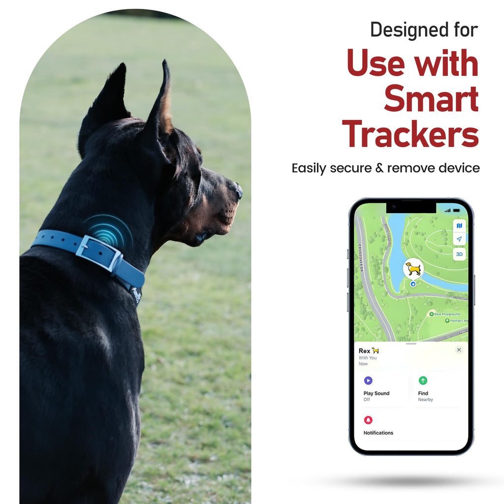 Colour Trace Dog Collar