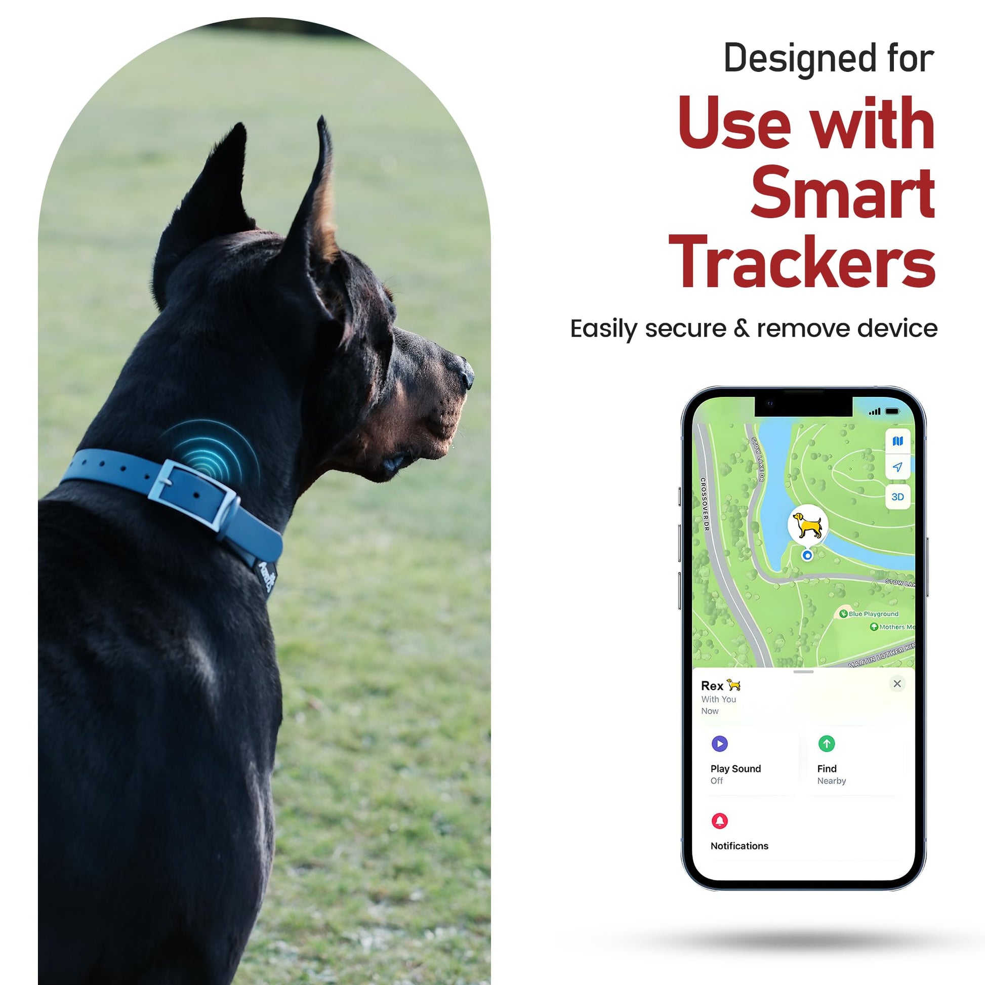 Colour Trace Dog Collar