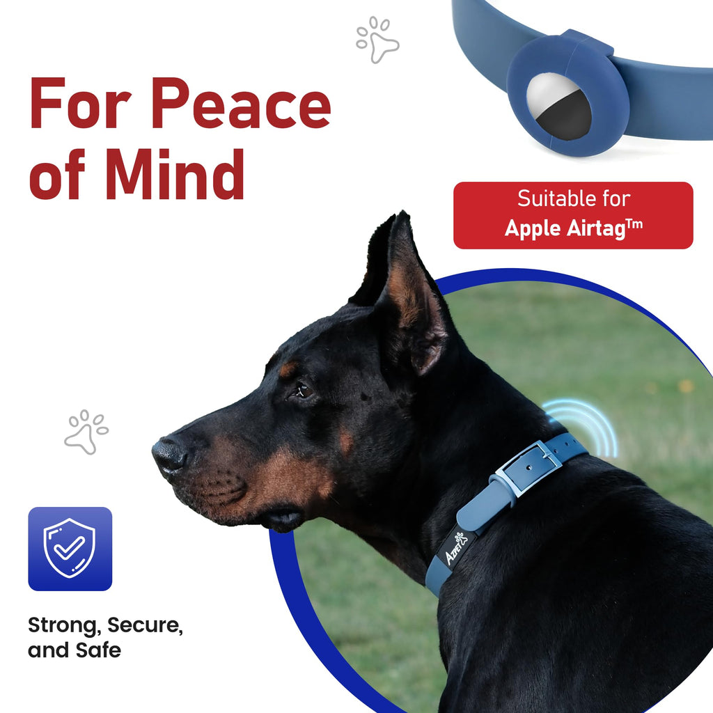 Colour Trace Dog Collar