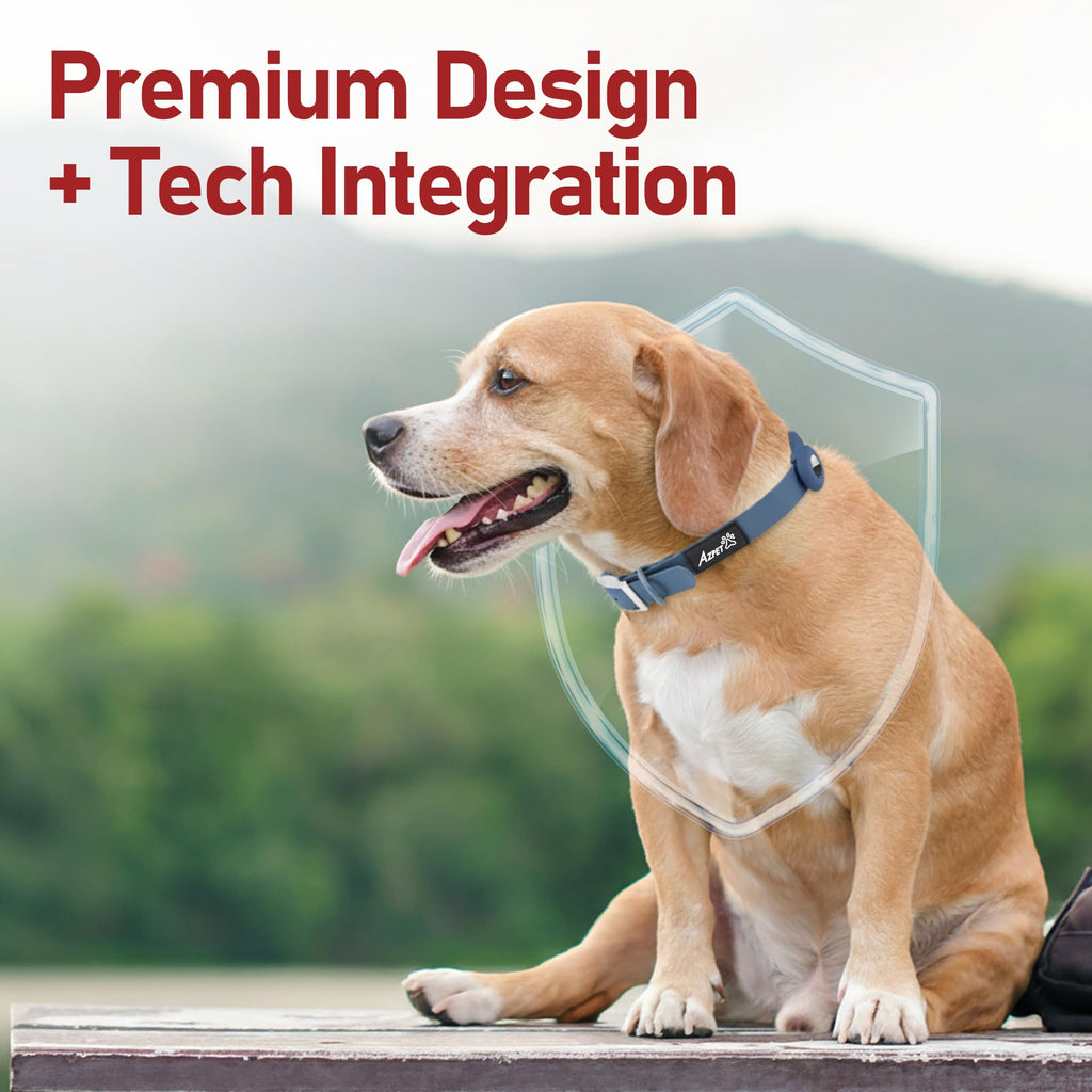 Colour Trace Dog Collar